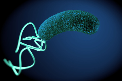 Helicobacter pylori